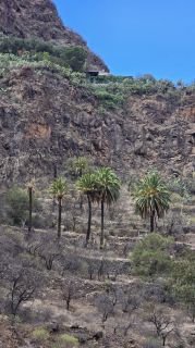 2024-11-GranCan-Guayadeque-048.jpg